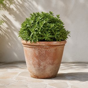 Demo Outdoor Planter
