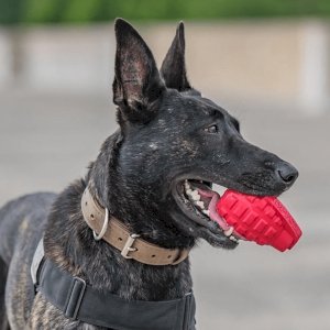 USA-K9 Puppy Grenade Durable Rubber Chew Toy & Treat Dispenser for Teething Pups