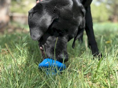 SN Flying Saucer Durable Rubber Chew Toy & Treat Dispenser