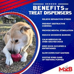Cupcake Durable Rubber Chew Toy & Treat Dispenser