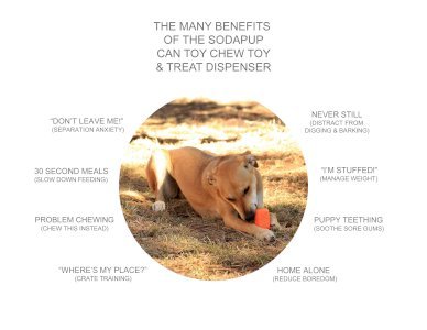SP Can Toy Durable Rubber Chew Toy & Treat Dispenser