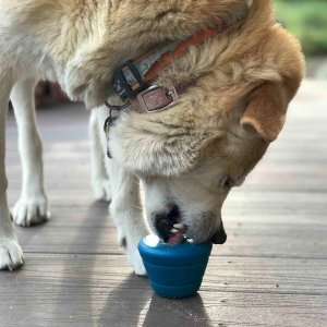 Space Capsule eDispenser - Durable Dog Chew Toy for Aggressive Chewers