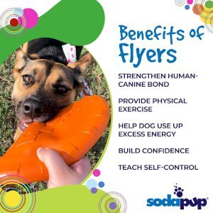 Bottle Top Flyer Durable Rubber Retrieving Frisbee