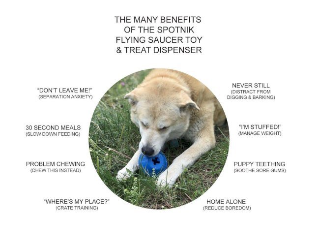 SN Flying Saucer Durable Rubber Chew Toy & Treat Dispenser