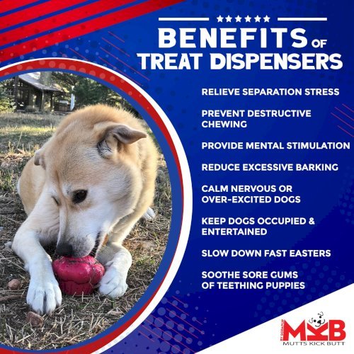 Cupcake Durable Rubber Chew Toy & Treat Dispenser