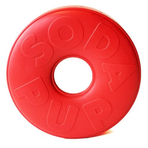 Life Ring eDispener Durable Rubber Chew Toy & Treat Dispenser