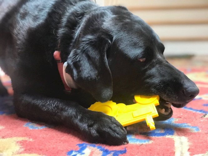 Tractor Nylon Dog Toy for Aggressive Chewers