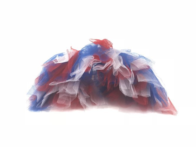 Red/White/Blue 4th Of July Dog Tutu Skirt (XXL)